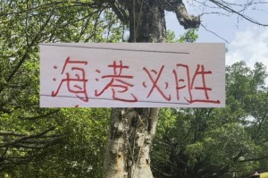 前有奇塔 现有奥斯卡 海港旧将也喜欢度假途径母队|上海海港|奇塔迪尼|足协杯|奥斯卡-罗梅罗|足协_新浪体育_新浪新闻