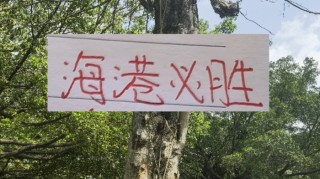 前有奇塔 现有奥斯卡 海港旧将也喜欢度假途径母队|上海海港|奇塔迪尼|足协杯|奥斯卡-罗梅罗|足协_新浪体育_新浪新闻